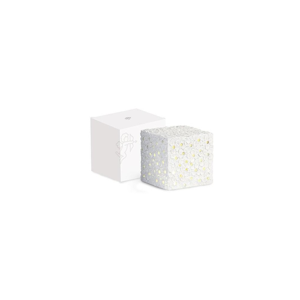 CUBO BIANCO FIORI CON LED E SC